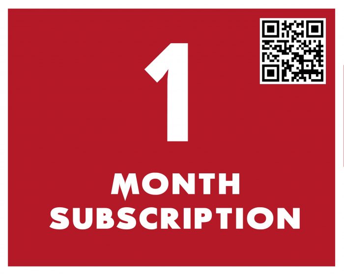 1 Month Level