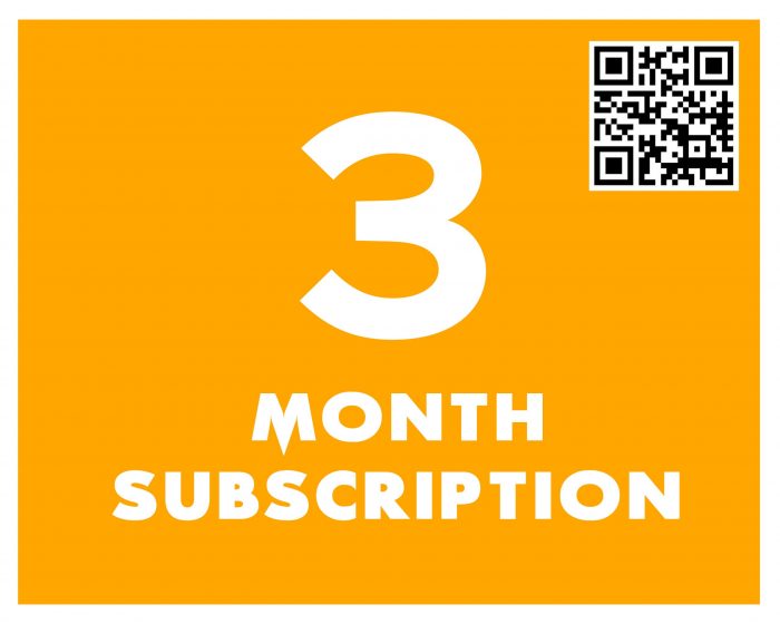 3 Months Level