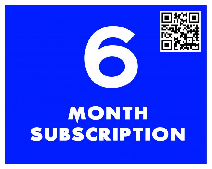 6 Months Level