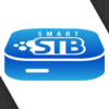 Smart TV (Samsung Or LG) Smart-STB SETUP GUIDE